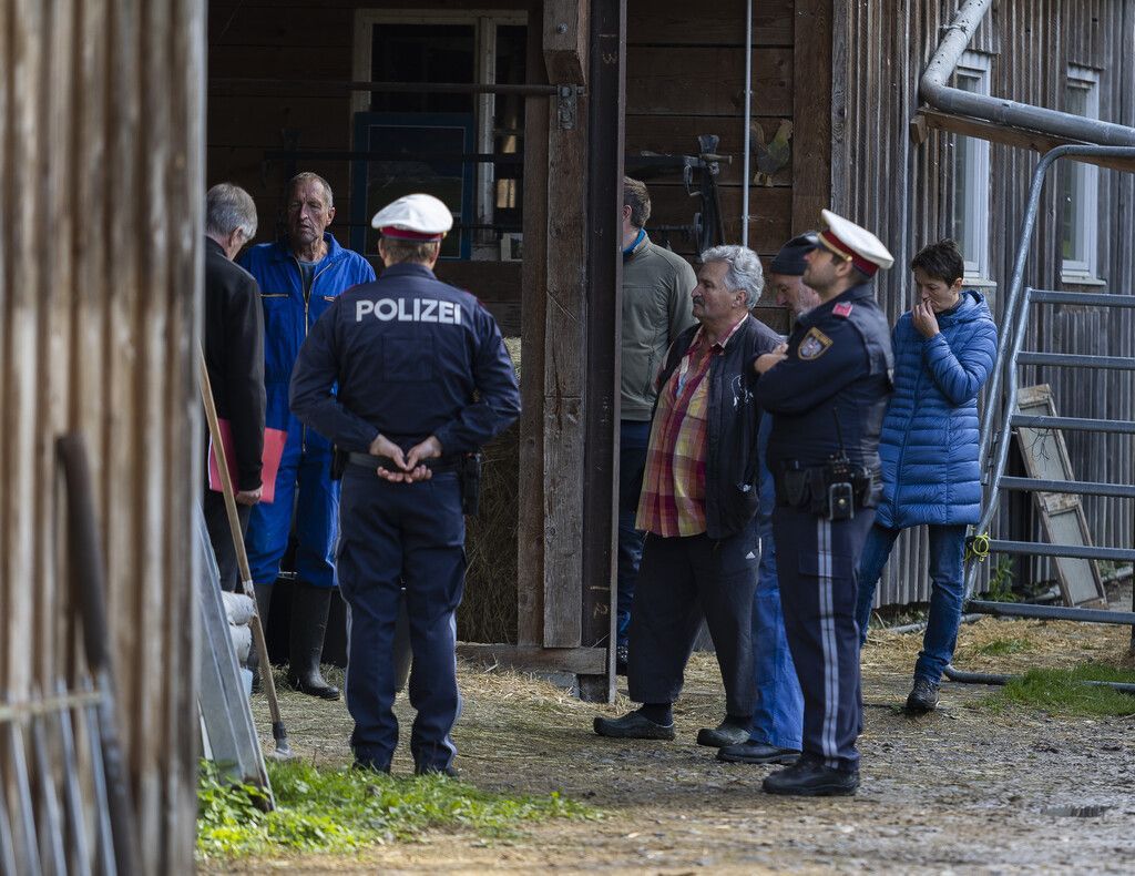 Tierhilfe delogiert