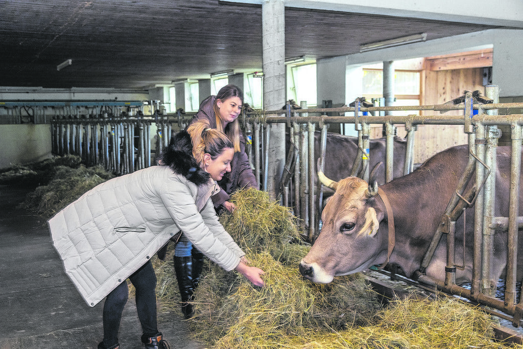 Allergievorsorge ab Hof