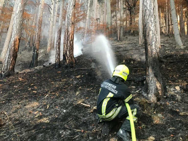 Hunderte Einsatzkräfte waren auch am Donnerstag im Dauereinsatz. APA