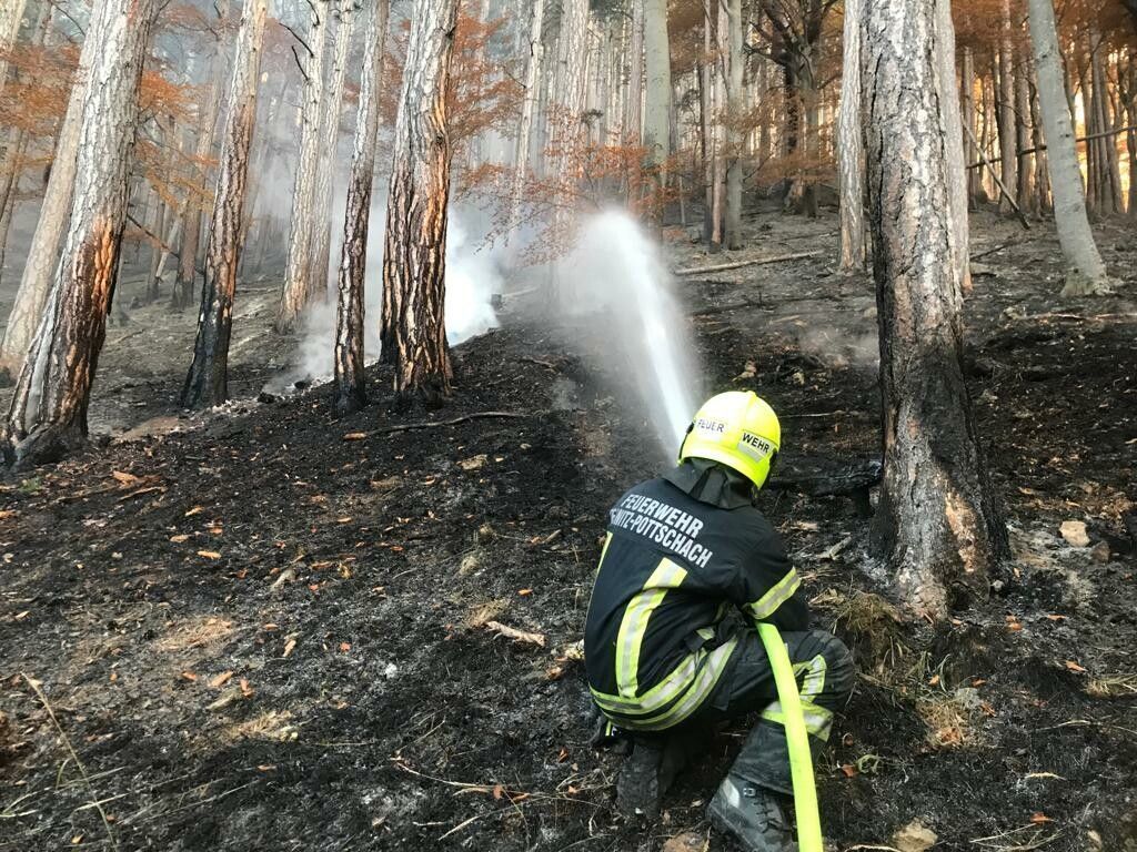 Lagerfeuer könnte Waldbrand im Rax-Gebiet ausgelöst haben