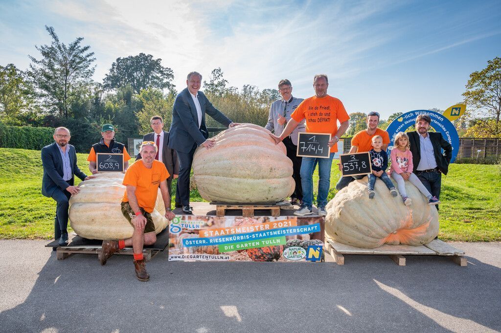 Riesenkürbis mit mehr als 700 Kilogramm