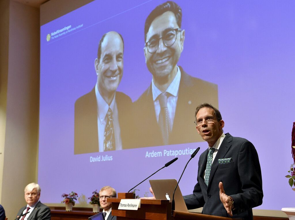 Medizin-Nobelpreis für Forschung zu Hitze und Berührungsempfinden