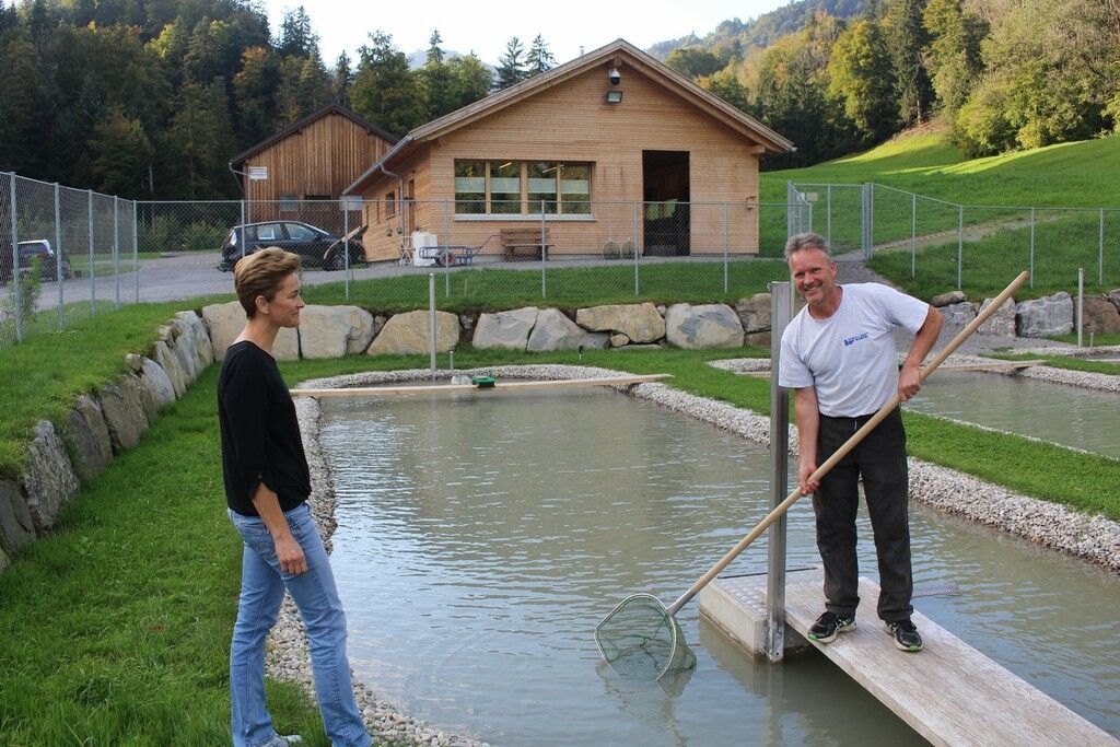 Sintflut im Raum Bödele ließ im Trüben fischen