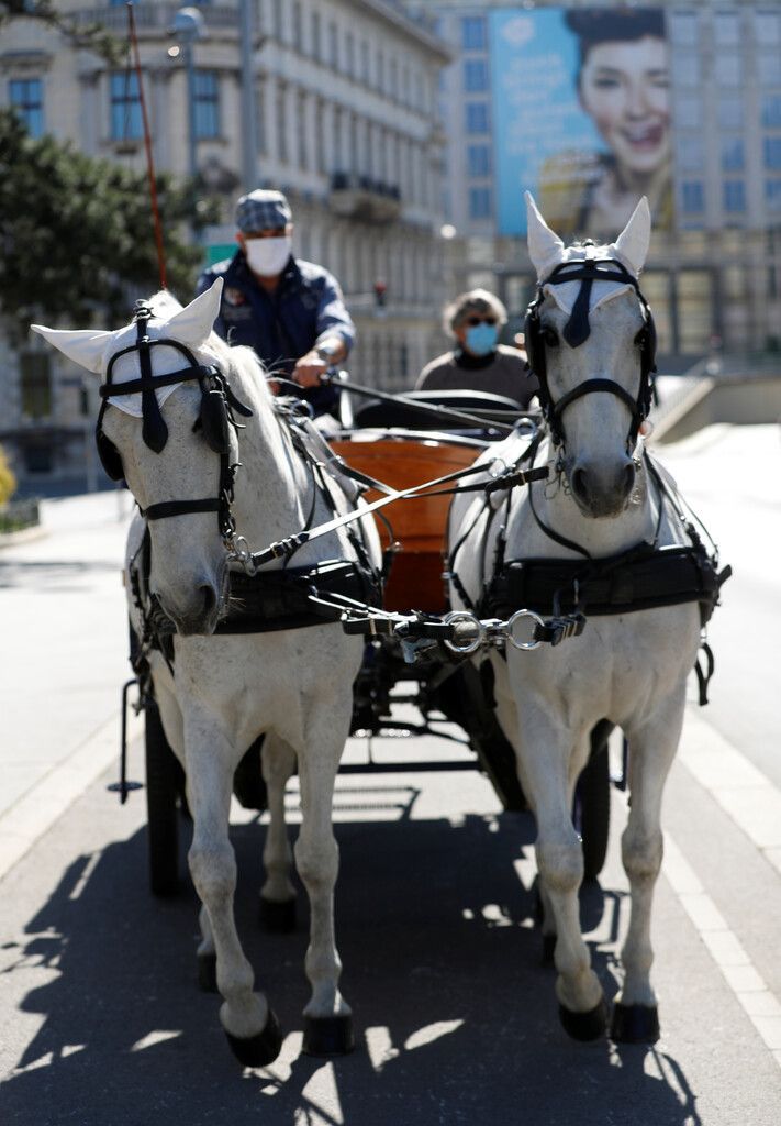 Erneut Fiakerpferd zusammengebrochen