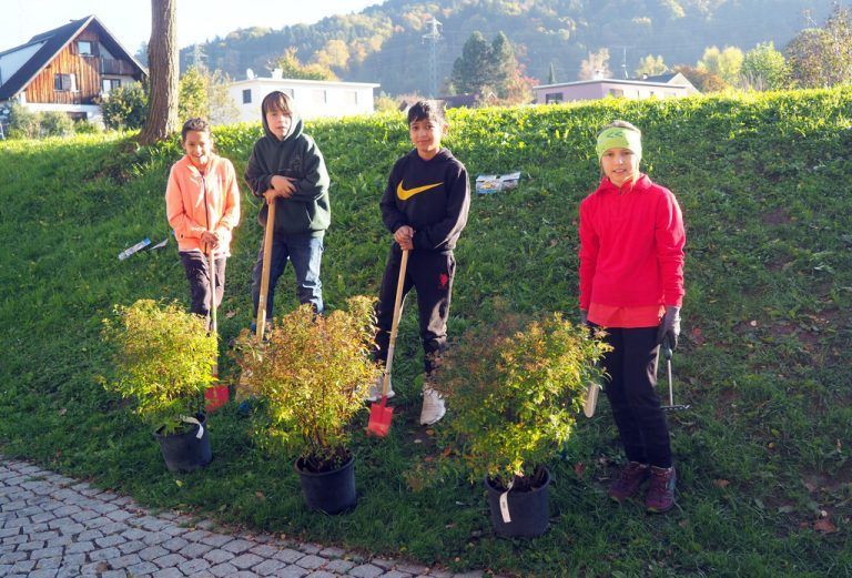 Die Schulkinder bereiteten den Boden vor, um Sträucher anzupflanzen. <span class="copyright">VS Mähdle</span>