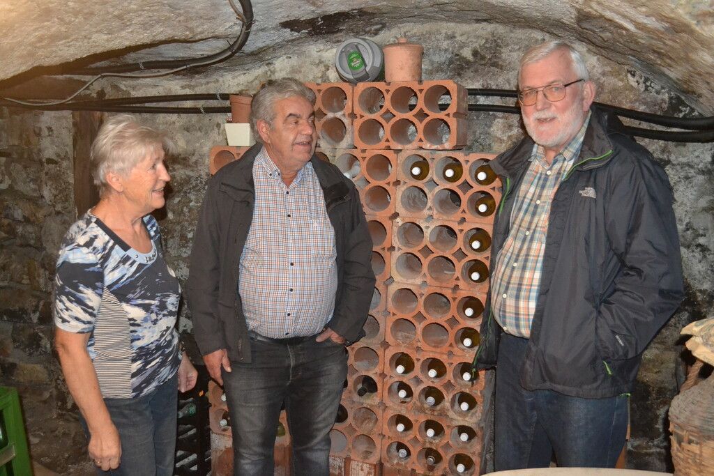 Sonniges Beschling ist perfekt für den Weinanbau