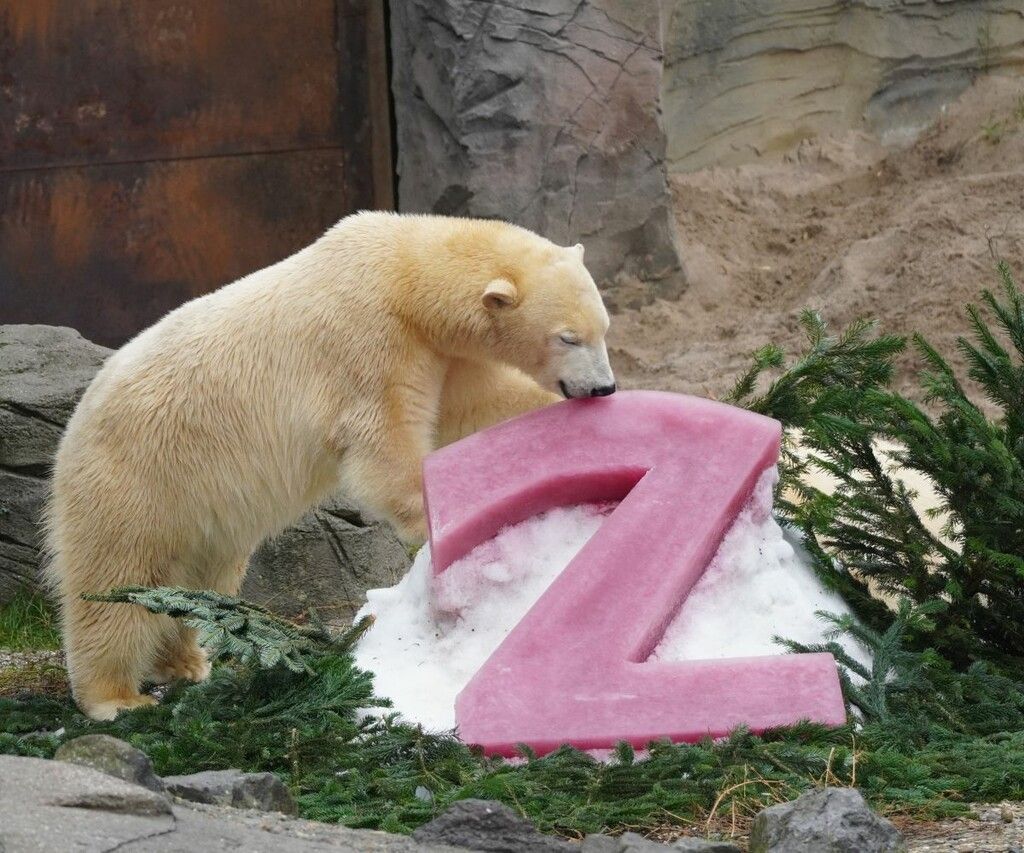 Zweiter Geburtstag