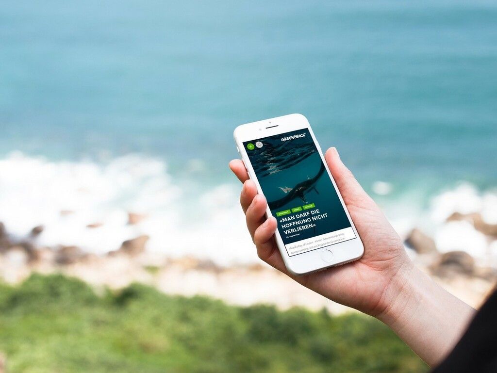 Mainzer Start-up Appful nun in Vorarlberger Händen