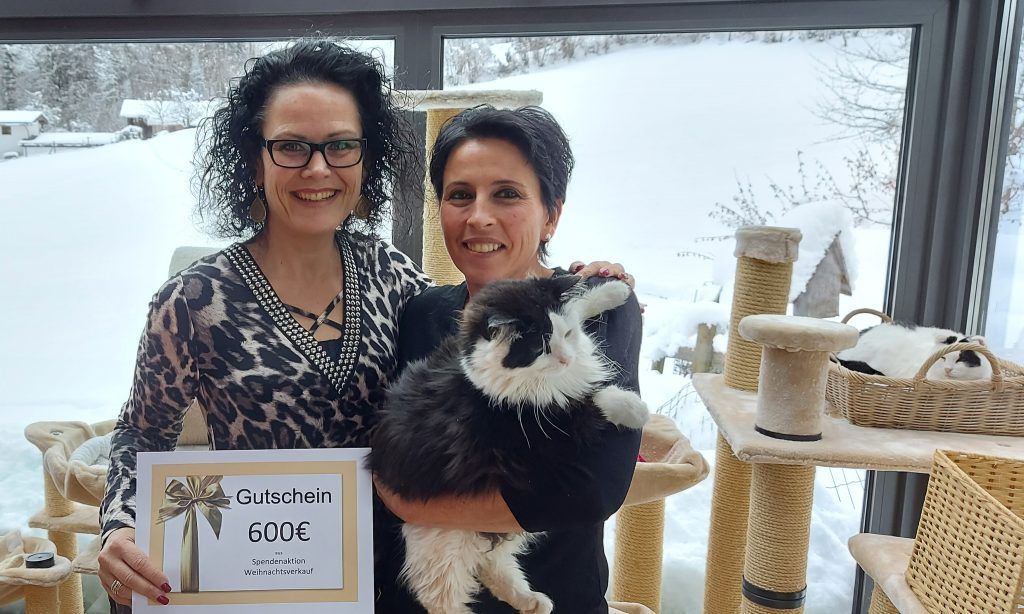 Spendenerlös von Adventkränzen kommt Katzen zugute