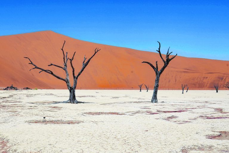 Die Salzpfanne in der Namib wird von roten Sanddünen umschlossen. Unsplash