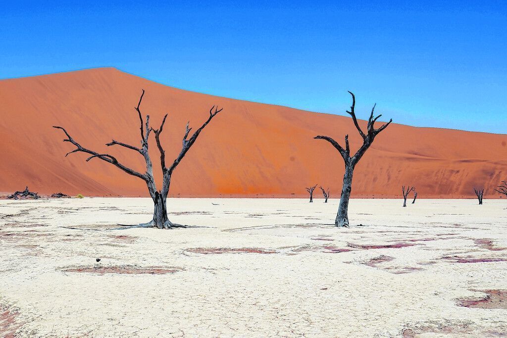 Das Sossusvlei im Herzen Namibias