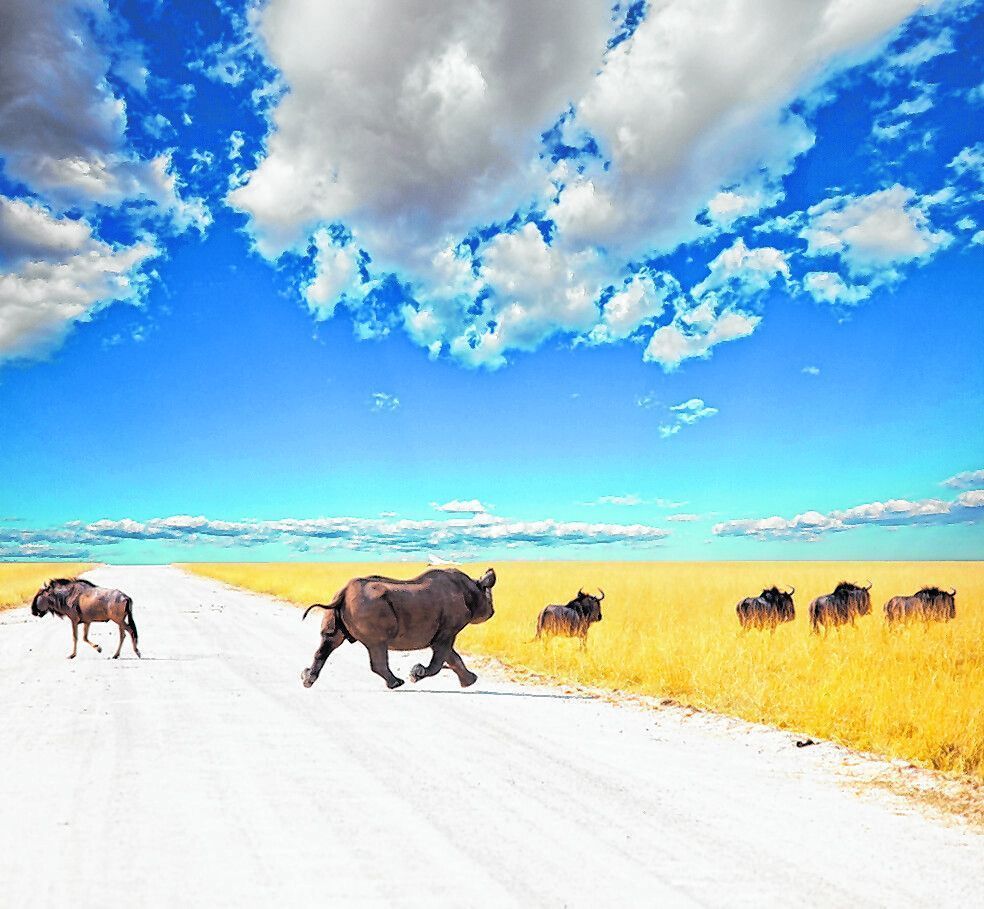 Auf der Suche nach den Big Five