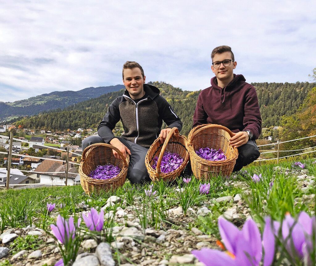 100 Projekte für Vorarlberg