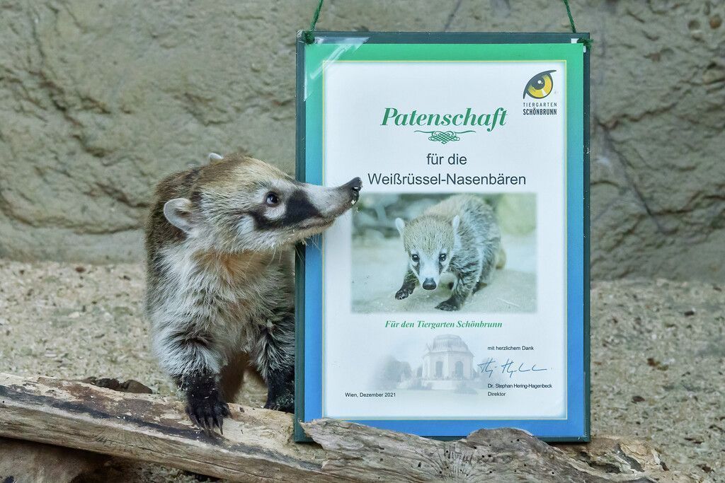 Paten ­gesucht