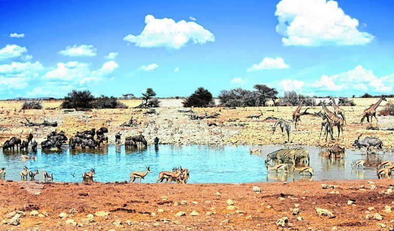 Etosha Nationalpark im Norden Namibias