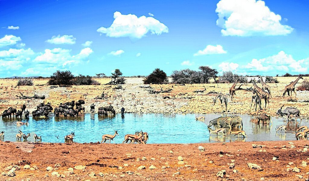 Etosha Nationalpark im Norden Namibias