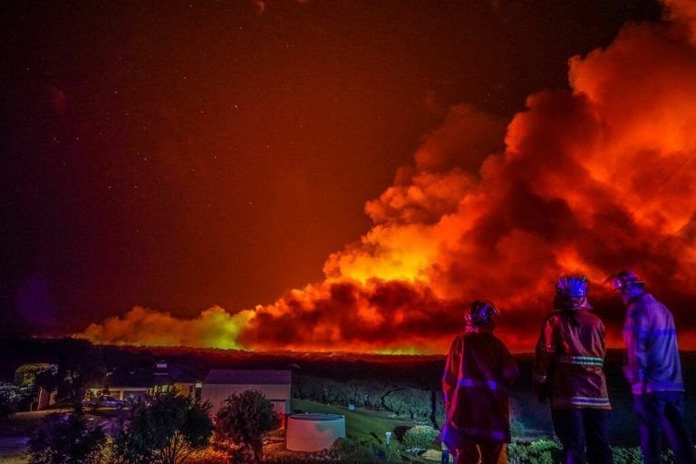 Mehr als 250 Einsatzkräfte kämpfen gegen die Flammen. AFP