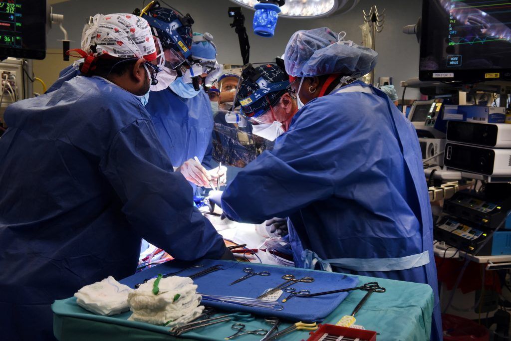 Erster Transplantationspatient mit Schweineherz gestorben