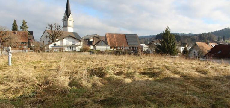 An der Riedstraße ist eine Wohnanlage der Wohnbauselbsthilfe geplant. Das alte Bauernhaus wurde abgerissen, die Baueingabe ist in Vorbereitung.