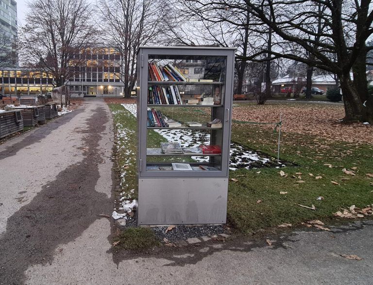 Der neu aufgestellte offene Bücherschrank im Kulturhauspark.<span class="copyright">lcf</span>