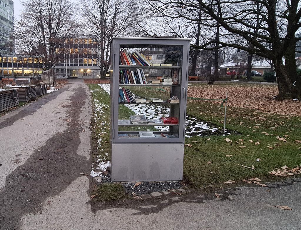 Offene Bücherschränke aufgestellt