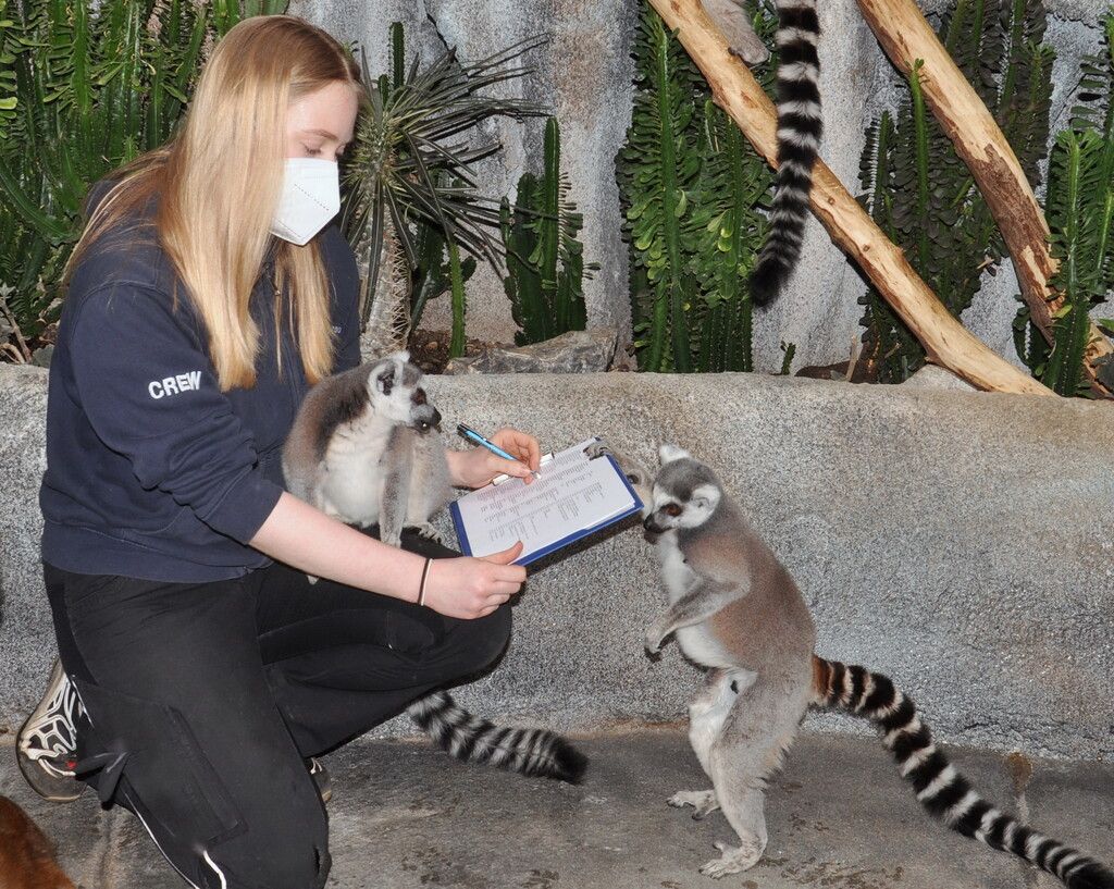 Tierische Inventur