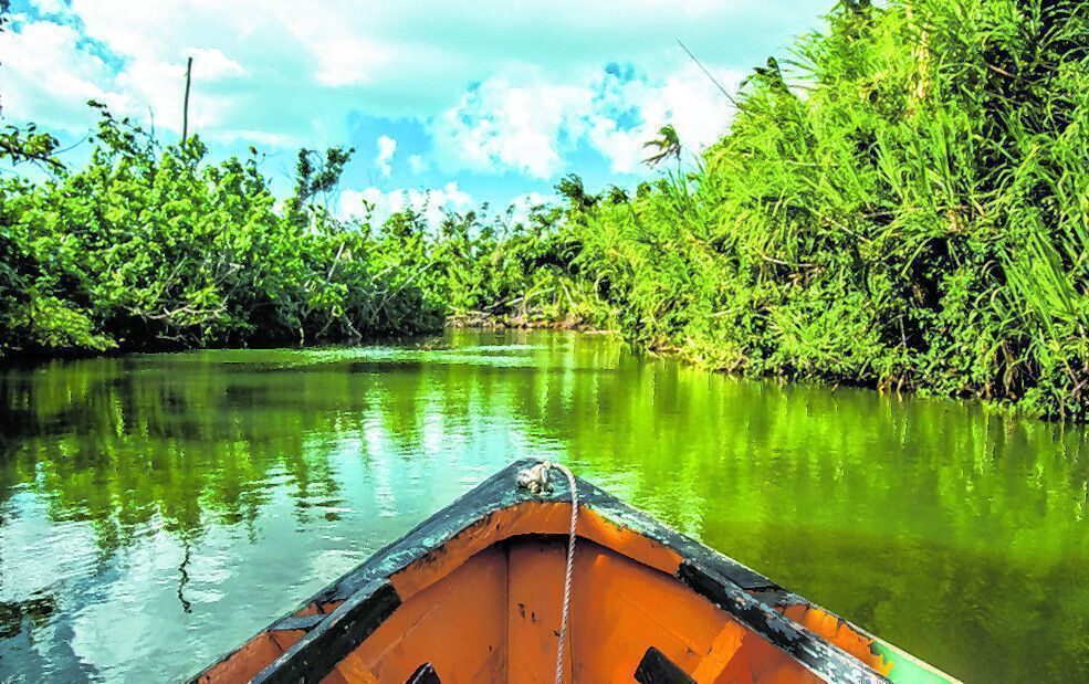 Fahrt auf dem Indian River