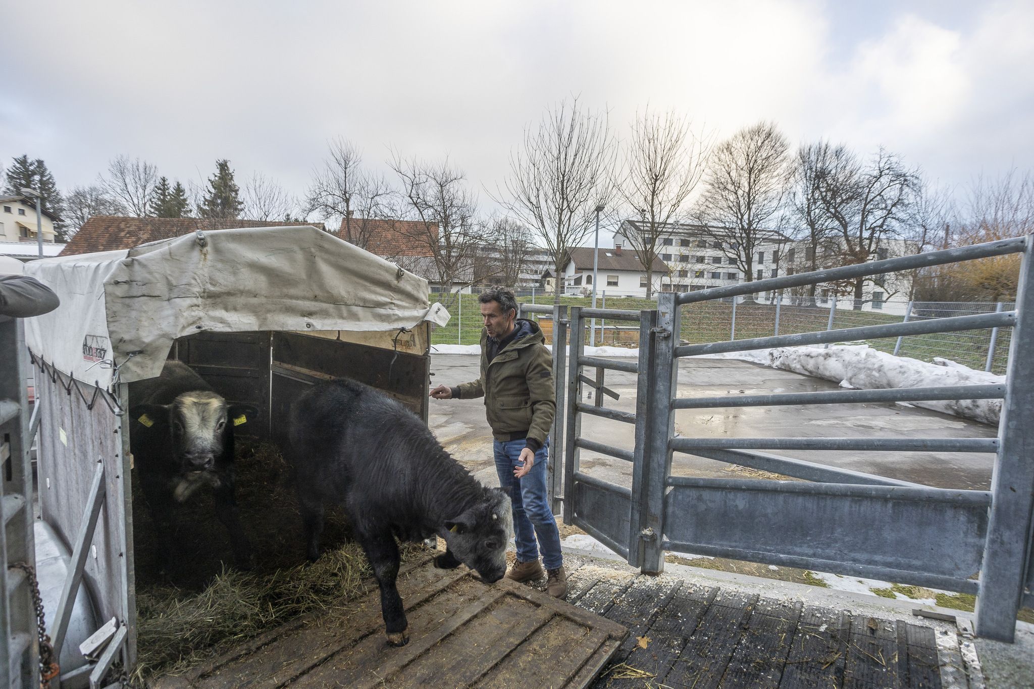 Neuer Schlachthof in Vorarlberg auf Zielgeraden