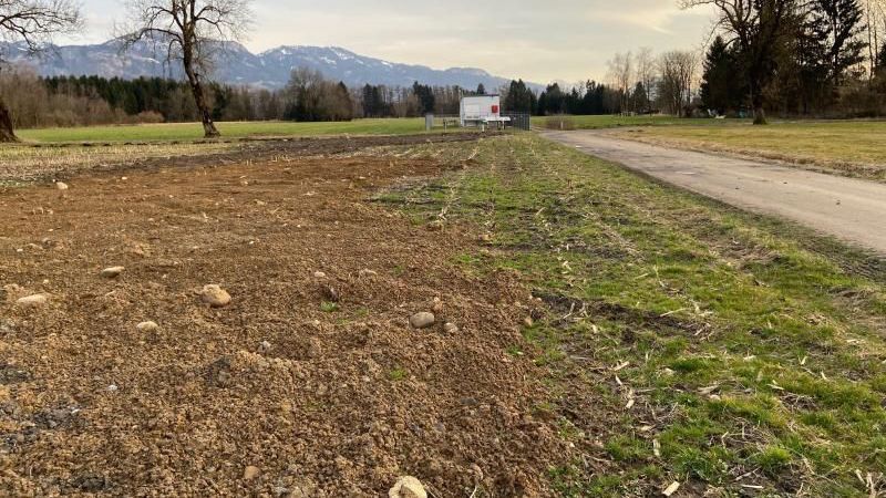 Schon wieder Plastikmüll im Ried deponiert
