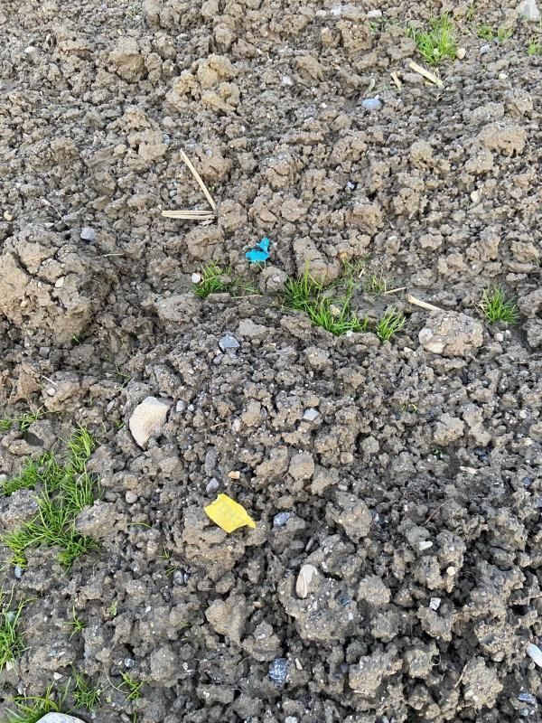 Schon wieder Plastikmüll im Ried deponiert