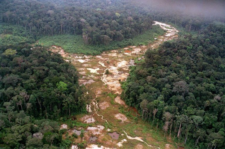 Allein im Jänner sind rund 360 Quadratkilometer Regenwald  im brasilianischen Amazonasgebiet durch Abholzung verloren gegangen. AFP
