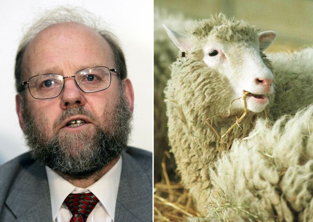 Das Vermächtnis von &#8220;Dolly&#8221;
