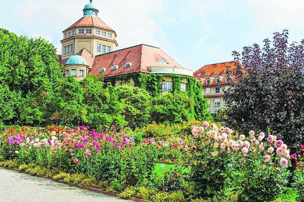 Jubiläum im Palmengarten
