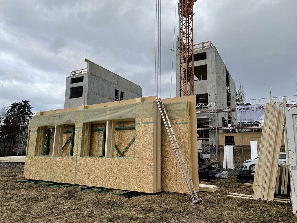 Holzbauarbeiten starten an der Dornbirner Ausweichschule