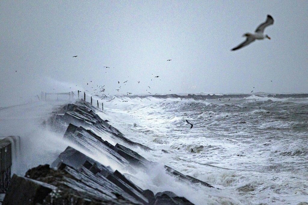 Schiffskollision auf der Nordsee – 18 Menschen evakuiert