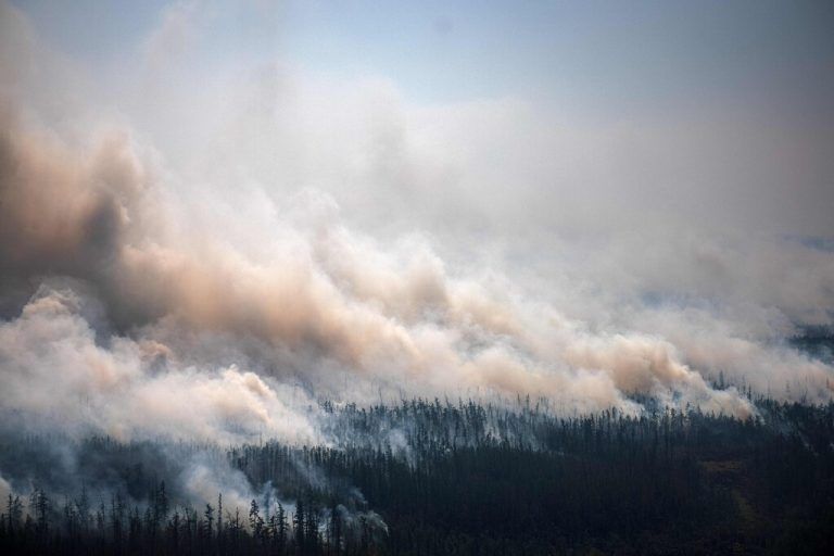 Extreme Waldbrände werden in den kommenden Jahren deutlich zunehmen. AFP