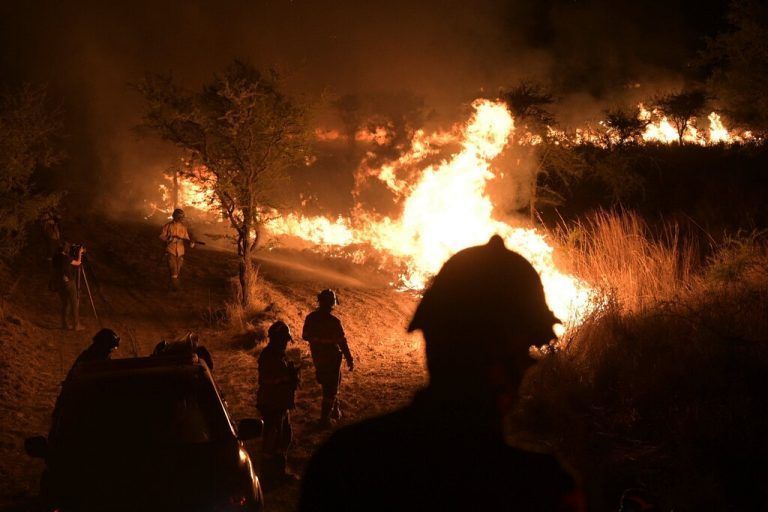 Feuerwehrleute kämpfen gegen verheerende Waldbrände in der argentinischen Region Corrientes. AFP