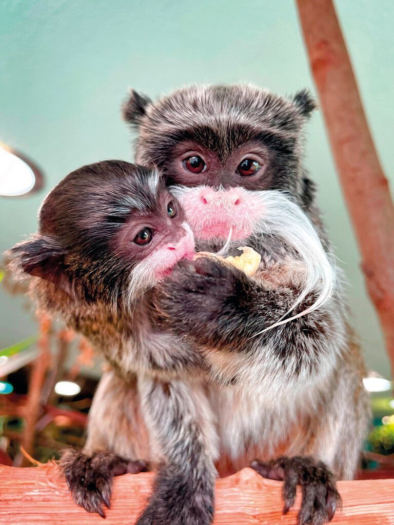 Richtig lecker