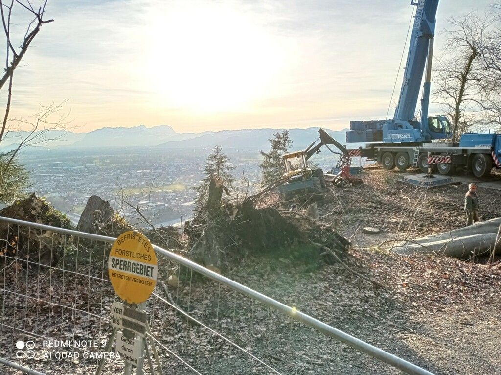Kahlschlag am Gebhardsberg