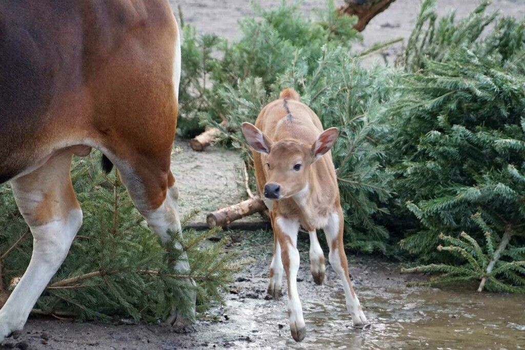 Der Mama hinterher