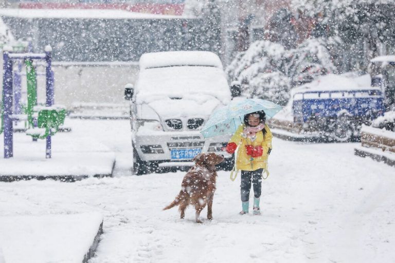 In der chinesischen Stadt Hangzhou spielt eine Anrainern mit ihrem vierbeinigen Freund im dichten Schneetreiben. AFP
