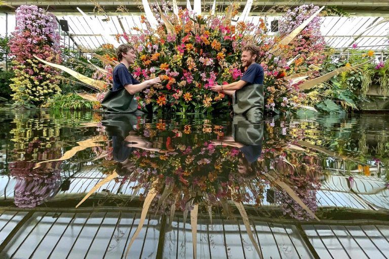 Mitarbeiter des botanischen Garten von Kew im Westen Londons bereiten eine Orchideenausstellung vor. AFP