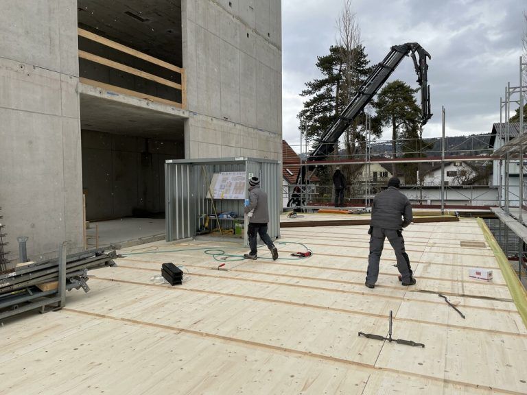 Seit dieser Woche geht es ans Holz.