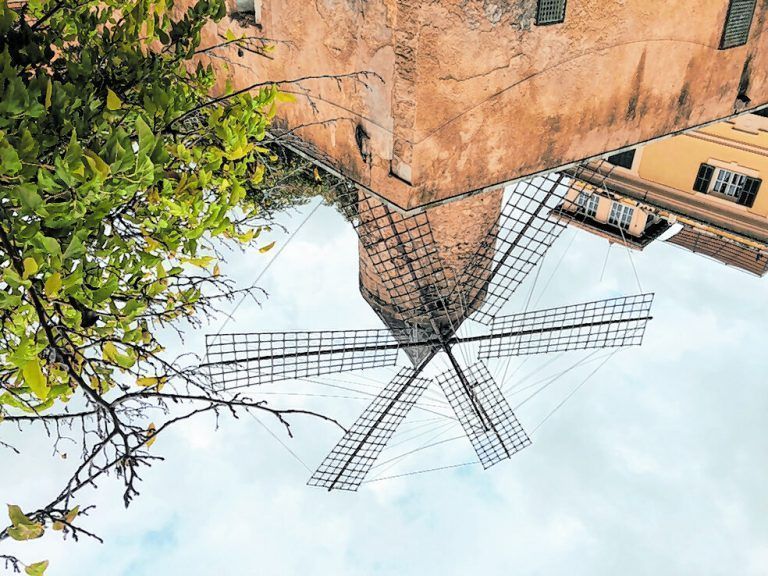 Viele Windmühlen, wie diese direkt in der Stadt Palma, stehen heute still.
