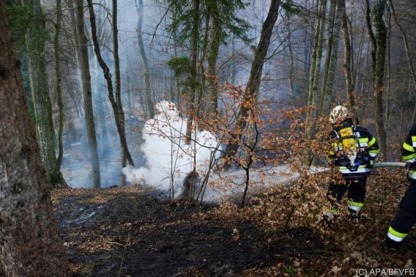 Steirer fackelte Laub ab: Bei Waldbrand ums Leben gekommen
