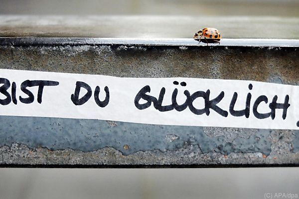 Österreich im Weltglücksbericht auf Platz elf