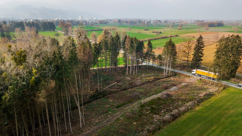Unbekannte Tote im Lustenauer Ried gefunden