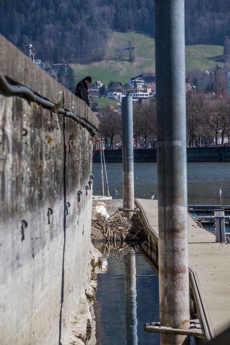 Die Hafenmauer am Bregenzer Bodenseeufer ist derzeit in ganzer Größe zu bewundern. Der See liegt aber nur neun Zentimeter unter dem Durchschnittswert. <span class="copyright">VN/Steurer</span>
