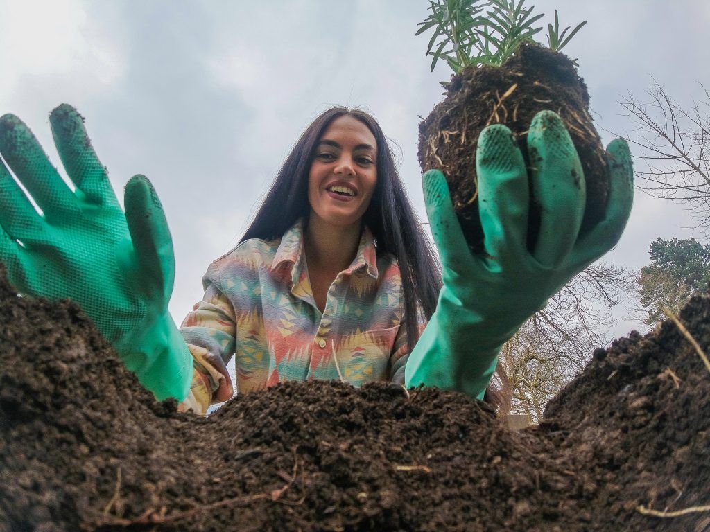 Wie der Garten frühlingsfit wird