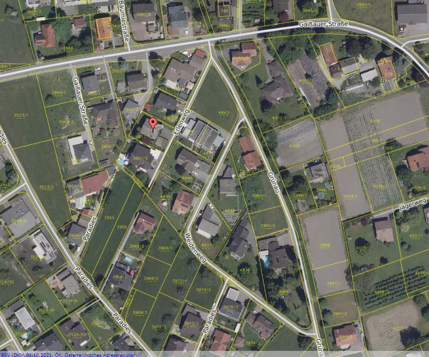 Wo in Höchst ein Einfamilienhaus für 725.000 Euro verkauft wurde